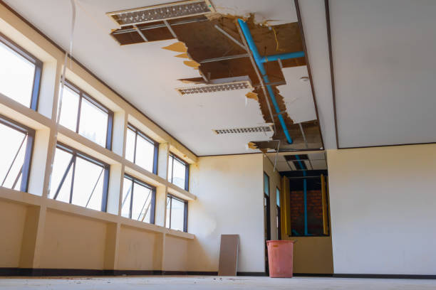 Best Water damage restoration near me  in Dequincy, LA