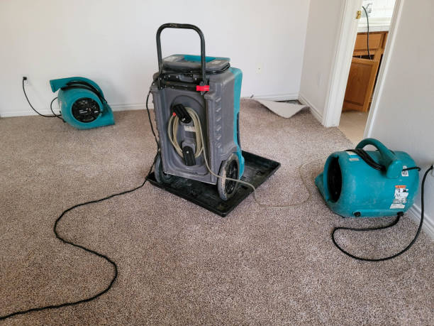 Trusted Dequincy, LA Water damage restoration Experts