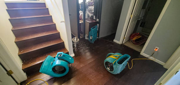 Best Sewage cleanup and water damage restoration  in Dequincy, LA