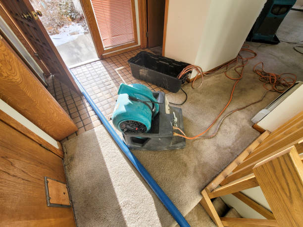 Best Water damage restoration near me  in Dequincy, LA