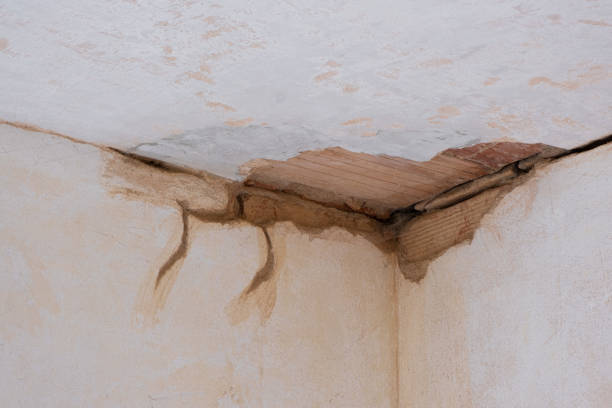Best Flood damage cleanup  in Dequincy, LA