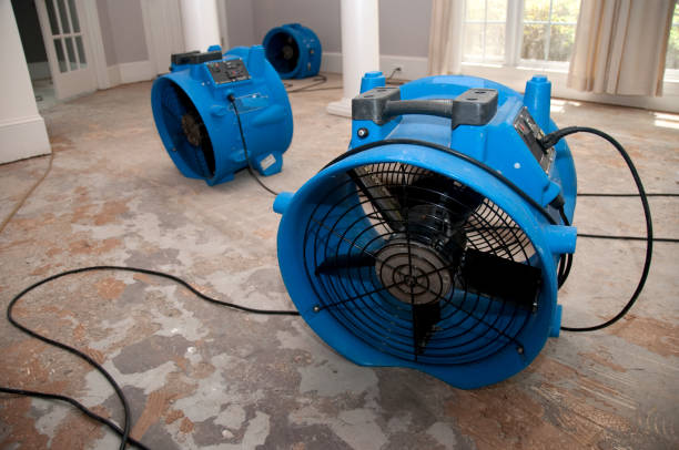  Dequincy, LA Water damage restoration Pros