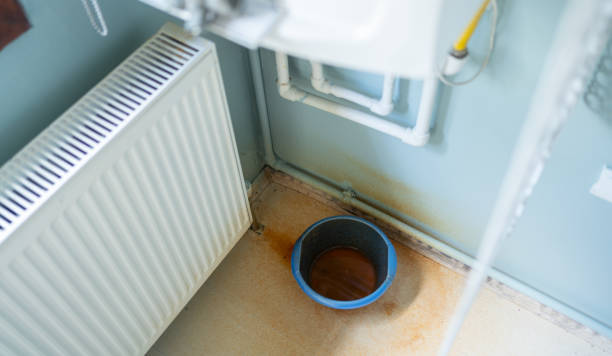Best Ceiling water damage repair  in Dequincy, LA