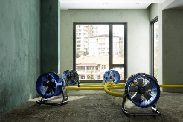 Best Flood restoration services  in Dequincy, LA